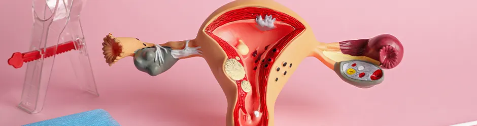 Jinekolojik Muayene ve Kadın Sağlığı Taramaları