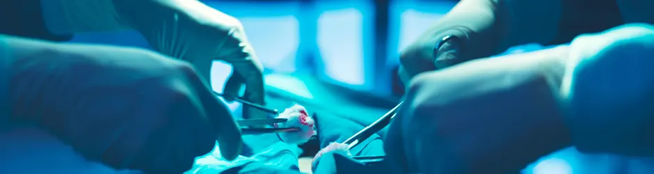 Egemed Hastanesi genel cerrahi